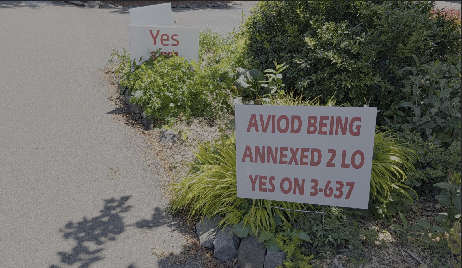 Two yard signs on a landscaped corner. The large one in front reads 'AVIOD BEING ANNEXED 2 LO / YES ON 3-637'; a partially visible sign behind it reads 'Yes 3-637'.